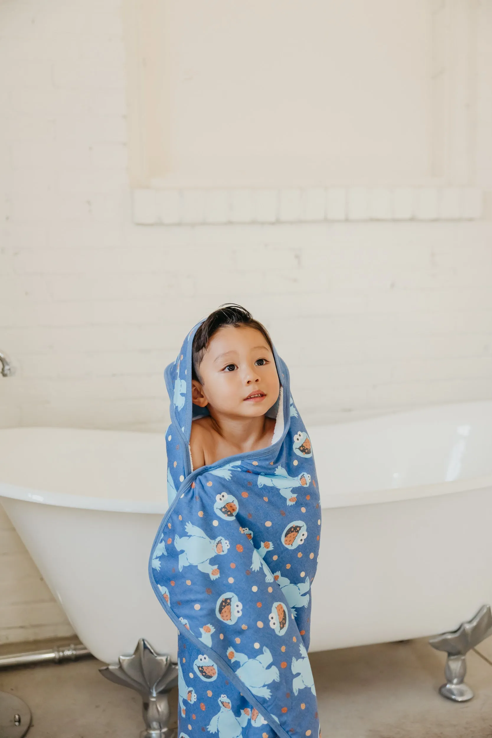 Premium Baby Knit Hooded Towel - Cookie Monster