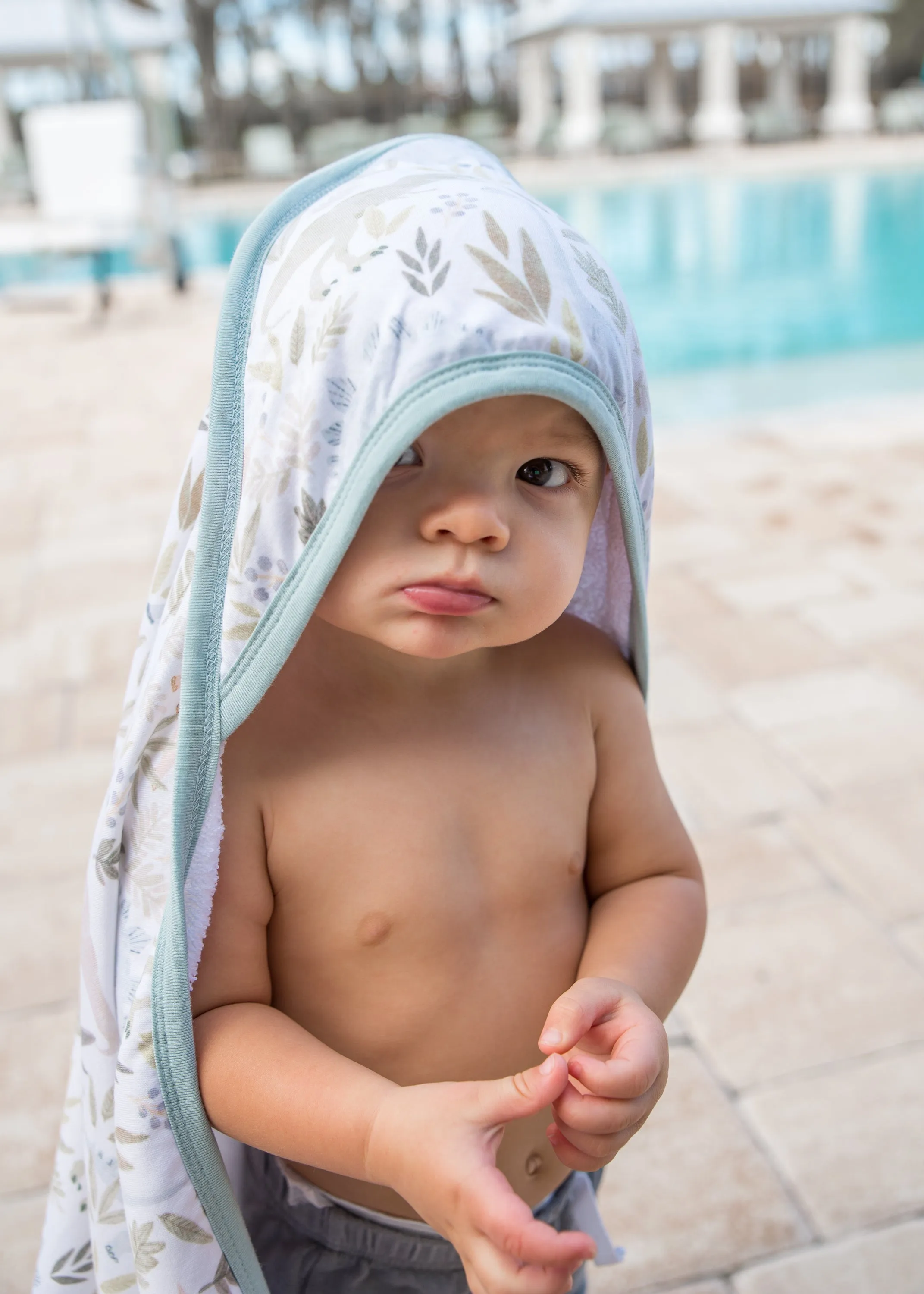 Premium Baby Knit Hooded Towel - Rex
